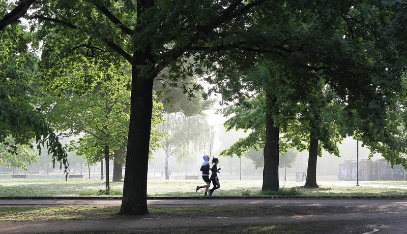 Prioritize Physical Health